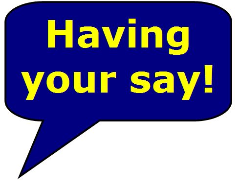 having your say