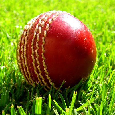 cricket ball