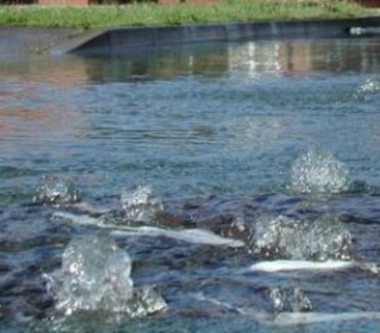 flood bubbling water