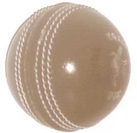 cricket ball 001
