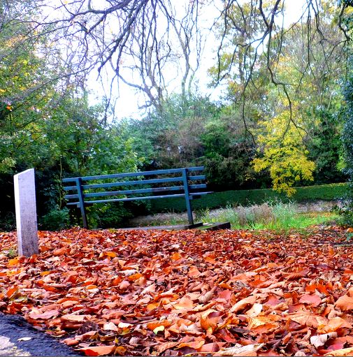 horsewell pond autumn 2012 sq