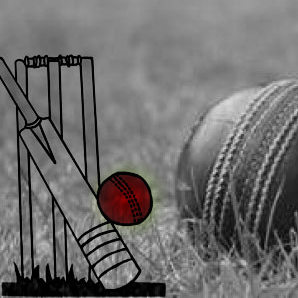 cricket history image