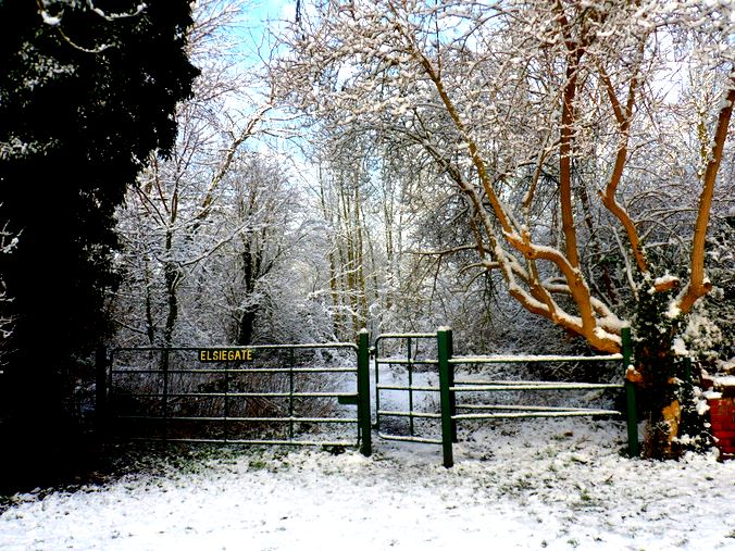 elsie gate snow1