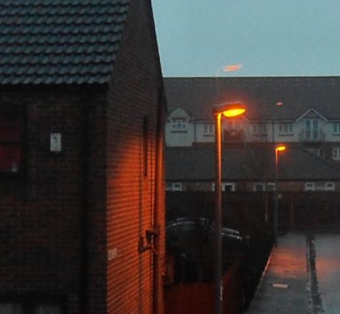 light on heron close