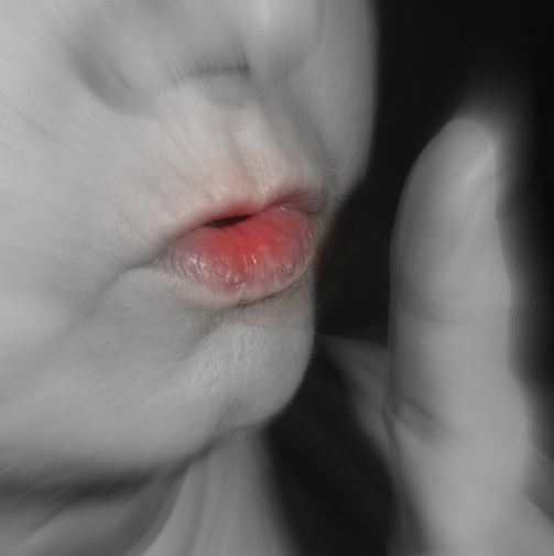 silence shush