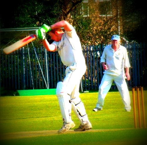 cricket action sq