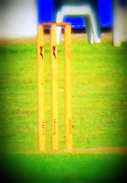 cricket wickets