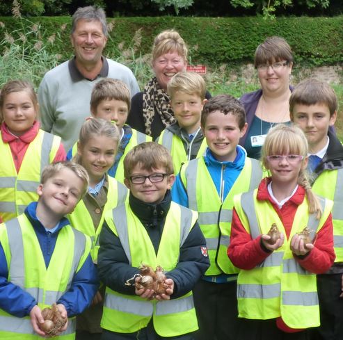bulb planting sq