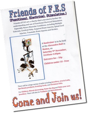 friends of fes poster thumb