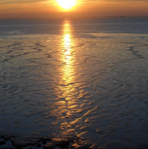 evening song sunset