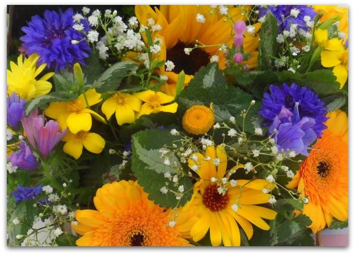summer flowers