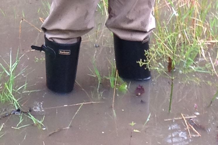mayors wellies