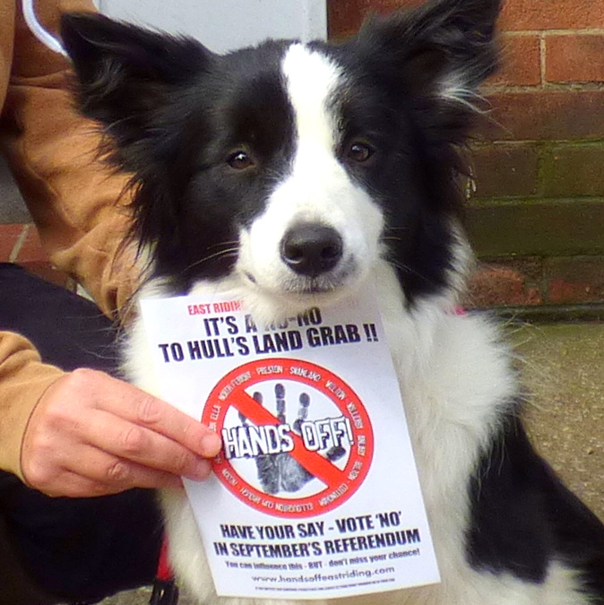 paws off says gale
