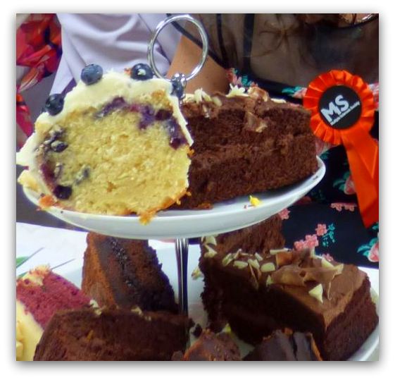 cake blueberry yum