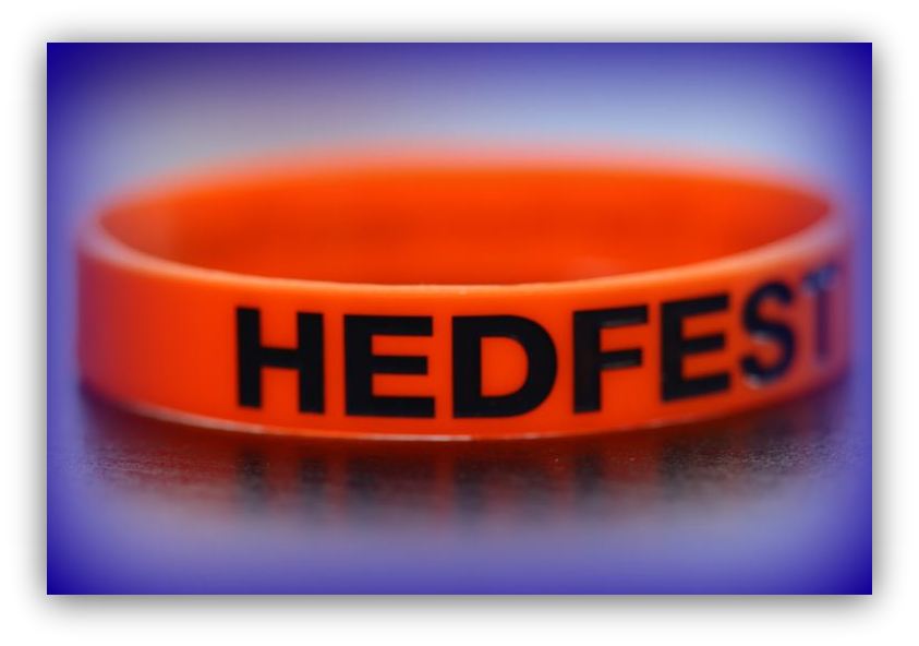 hedfest wrist band orange
