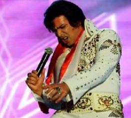 maltese elvis