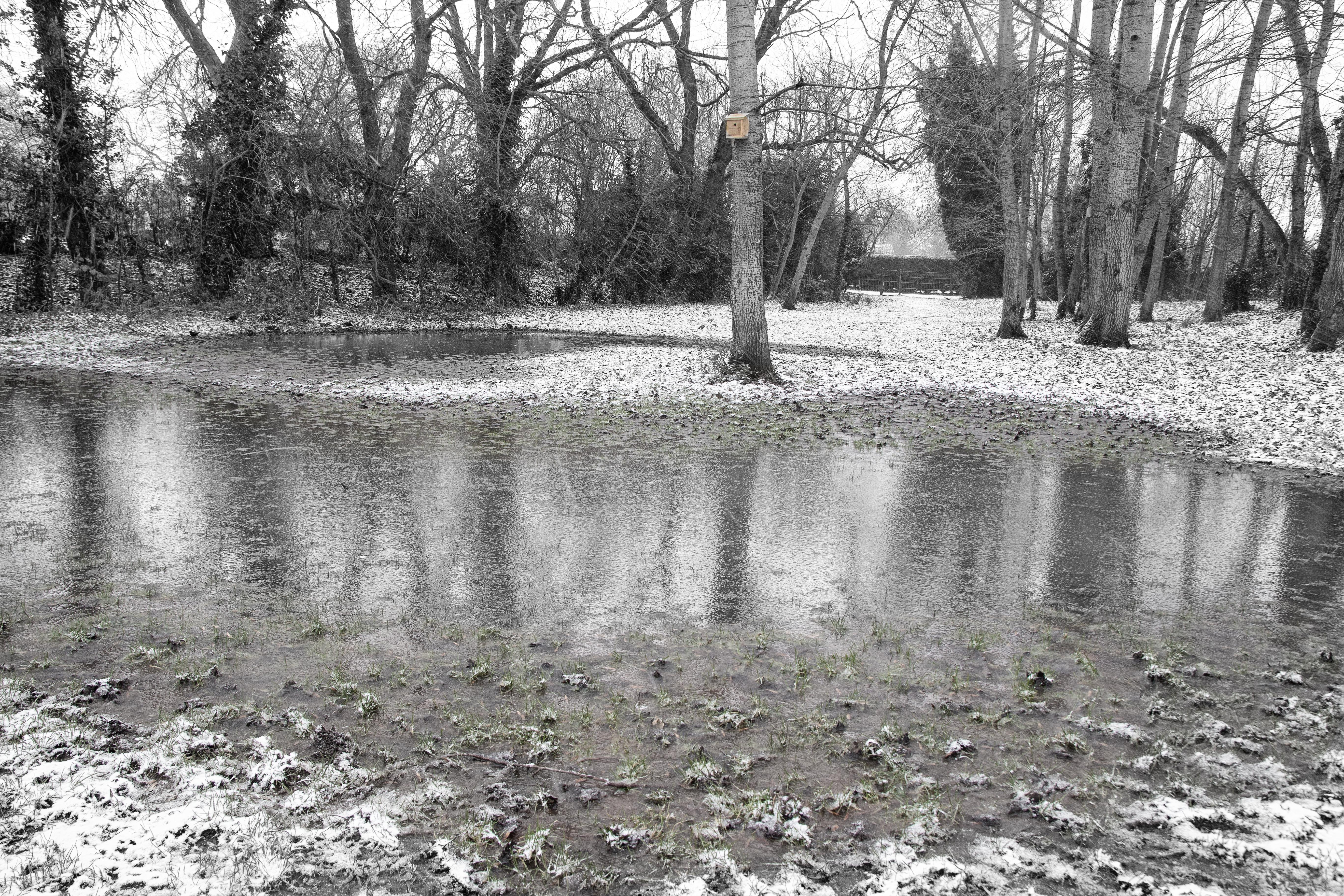 elsie gate snowy lake