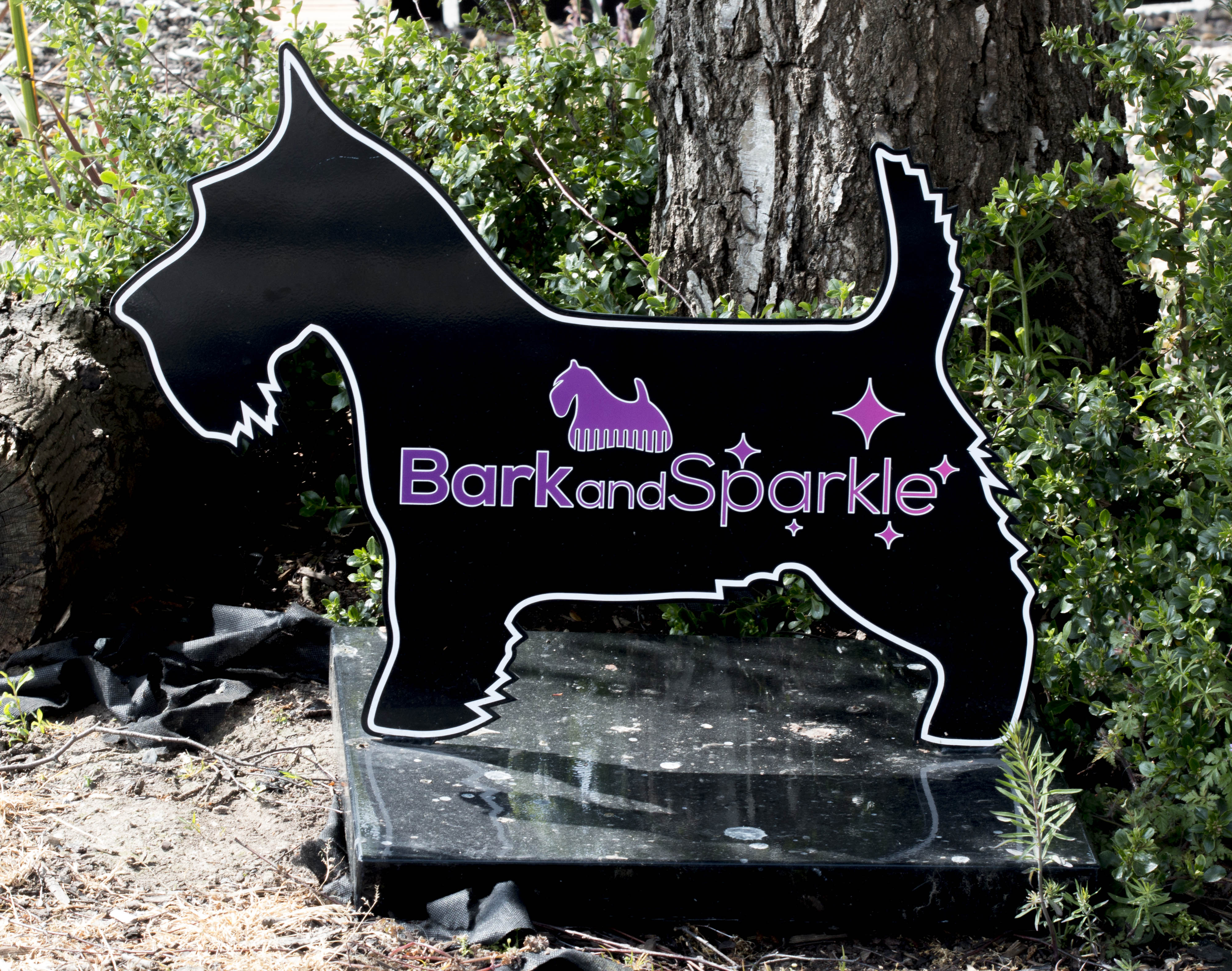 Bark and Sparkle