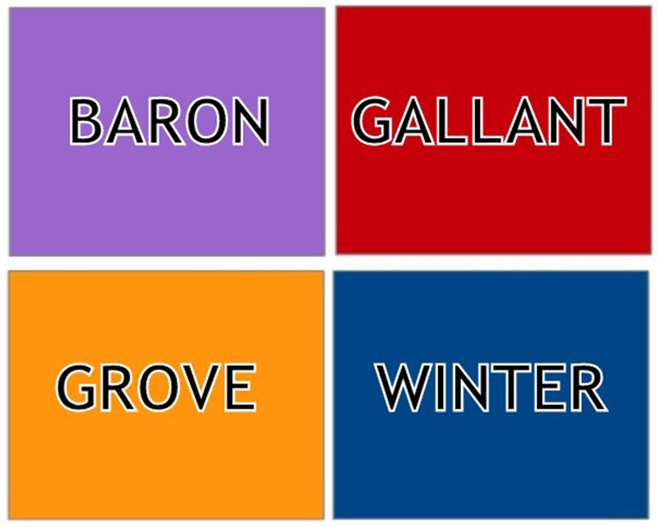 Election 2012 image sq