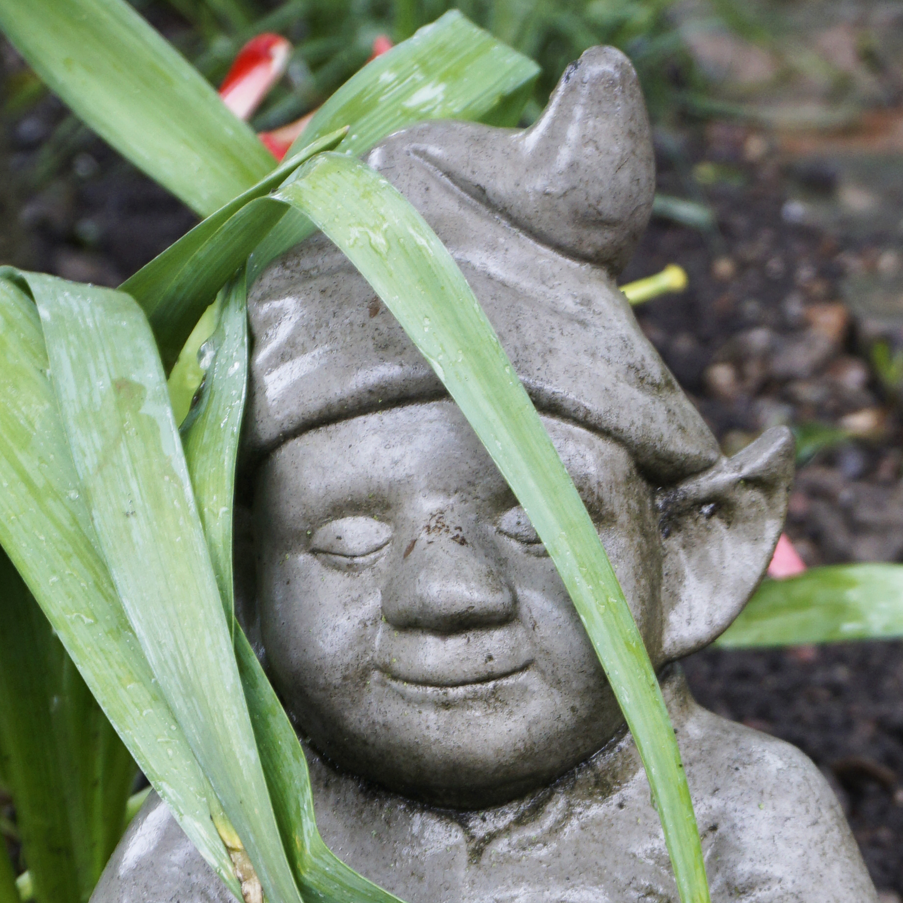 Elf in grass cu