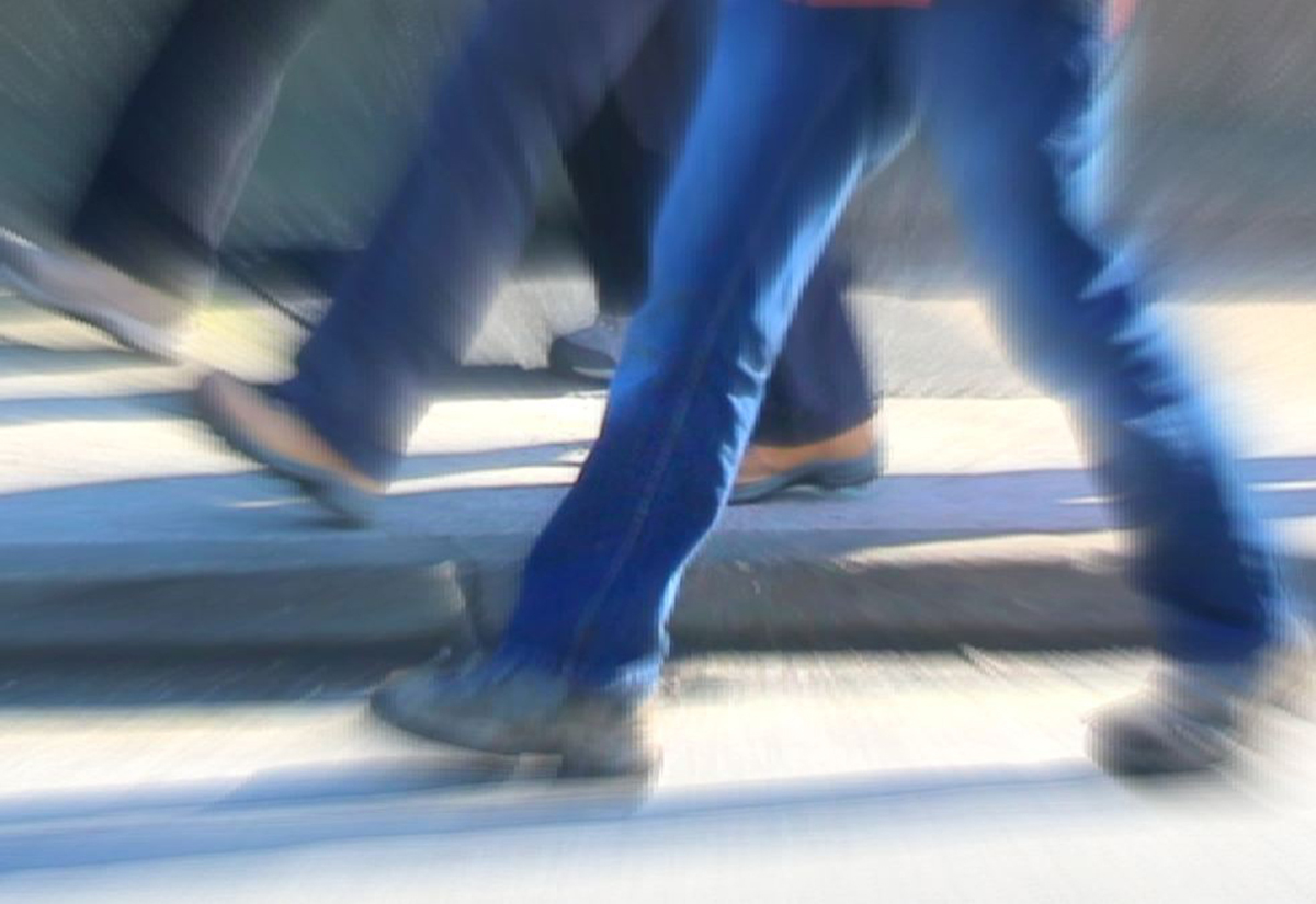 walking feet zoom