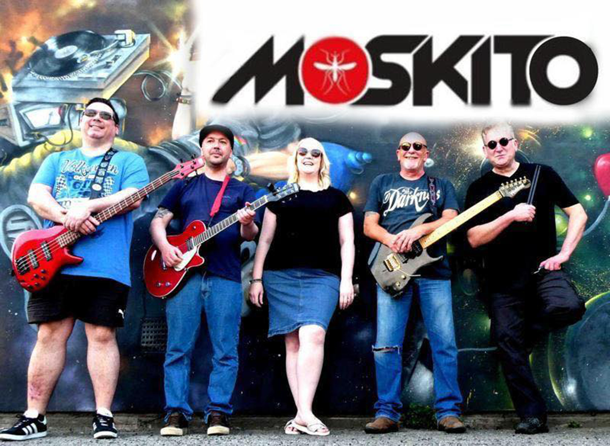 Moskito pic