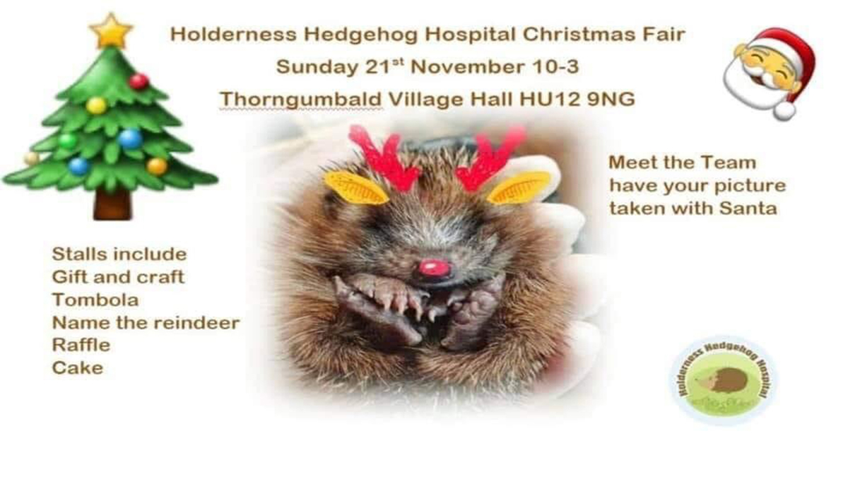Holderness Hedgehog Hospital Christmas Fair poster