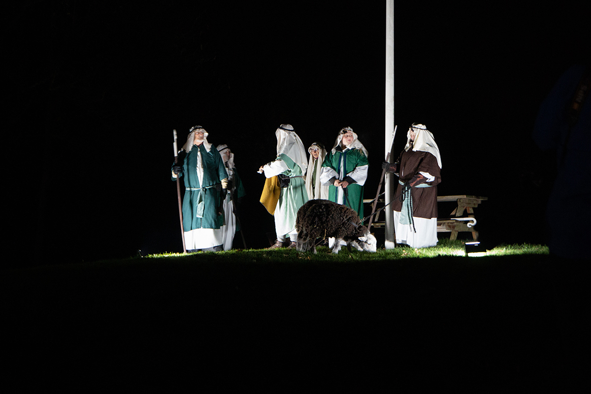 Christmas Live Shepherds web