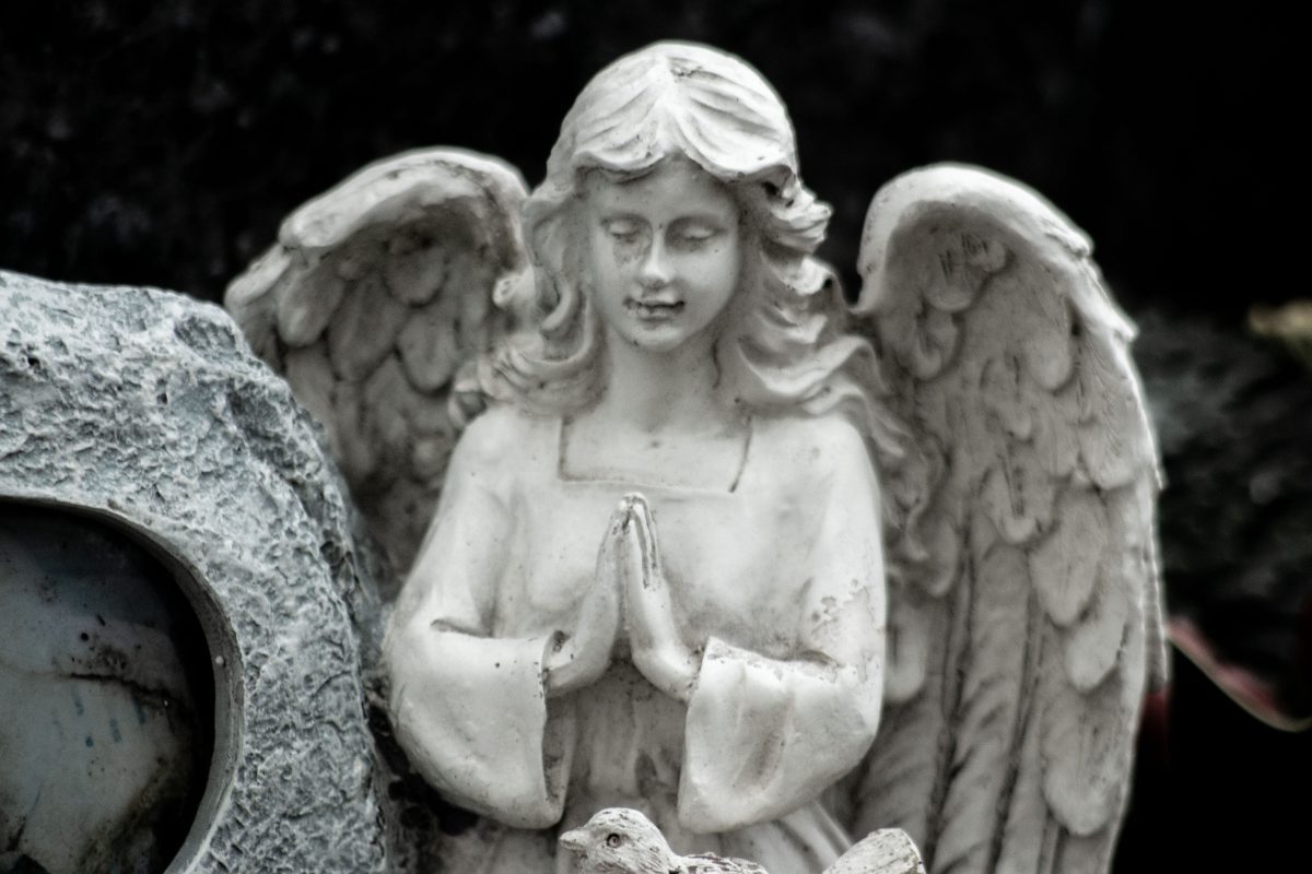White Angel e1670012698808
