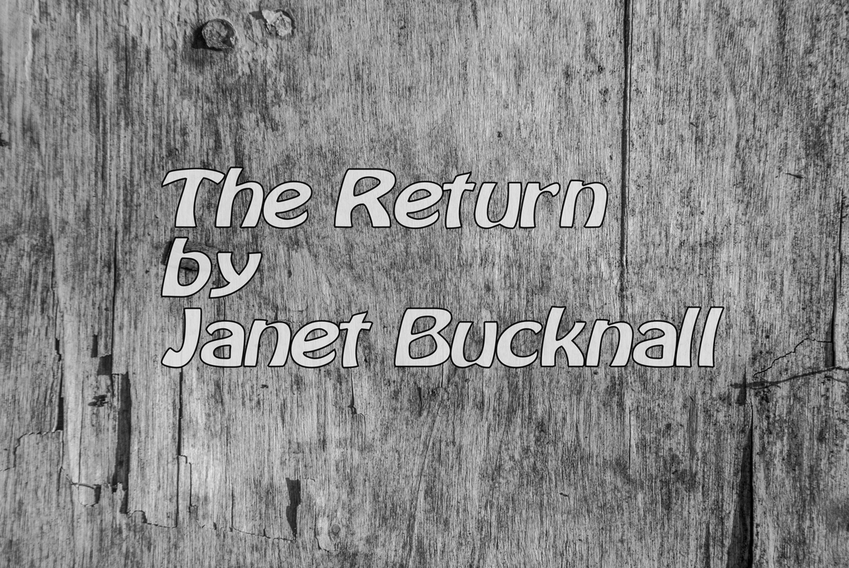 The Return by Janet Bucknall image