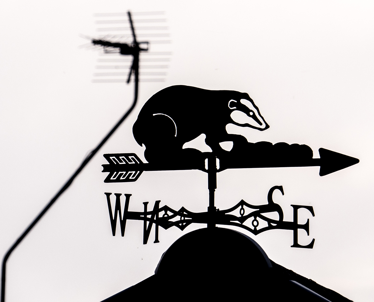 Badger weather vane bw web