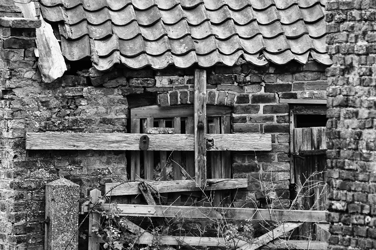 Photo of the Day 34 Bull Shed front bw