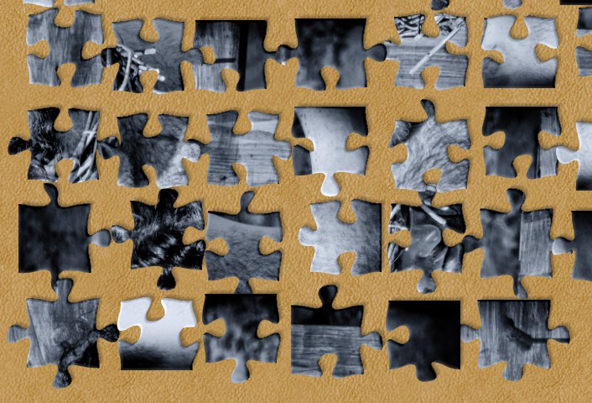Weekly Jigsaw snip