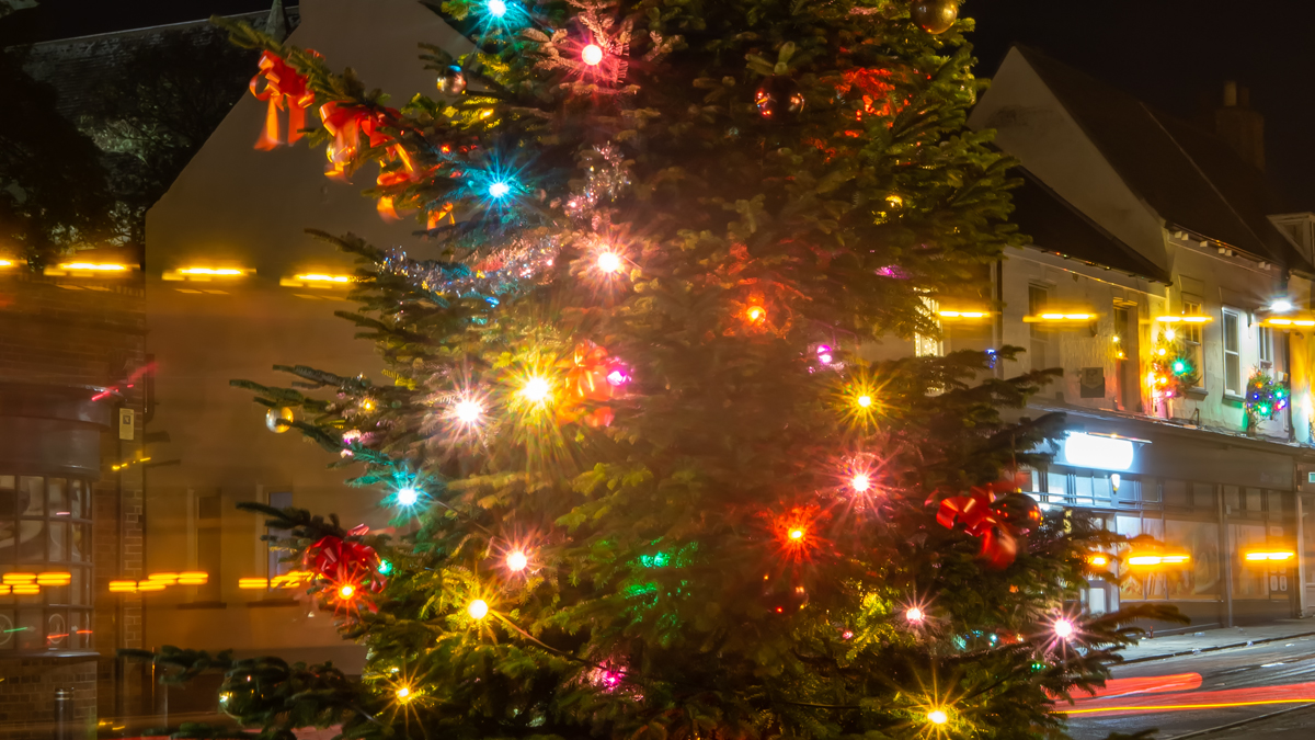 Hedon Christmas Tree 2022