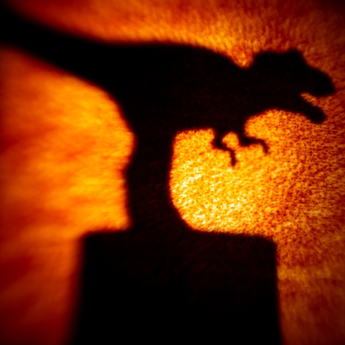 Dinosaur shadow sq