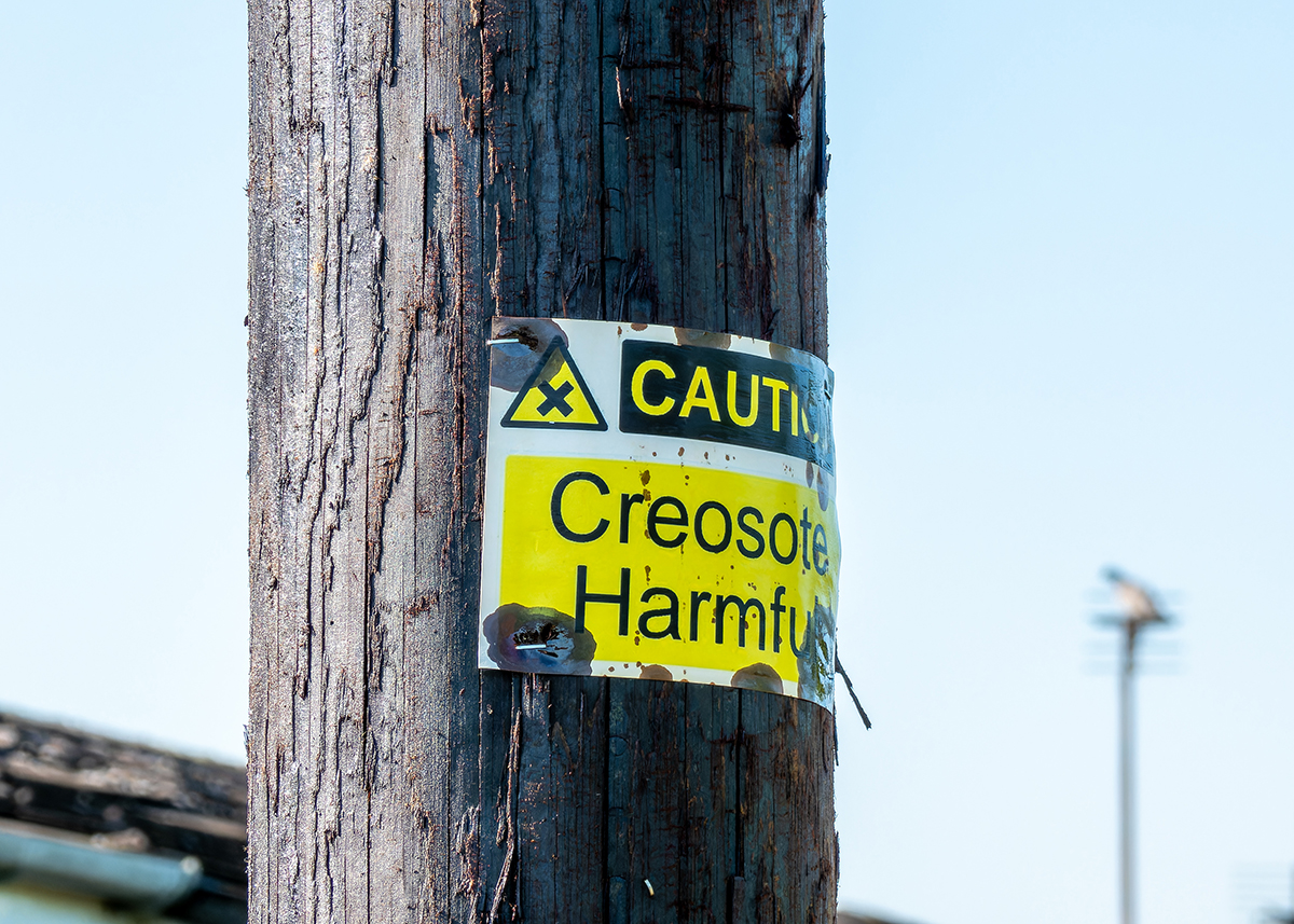 Creosote pole