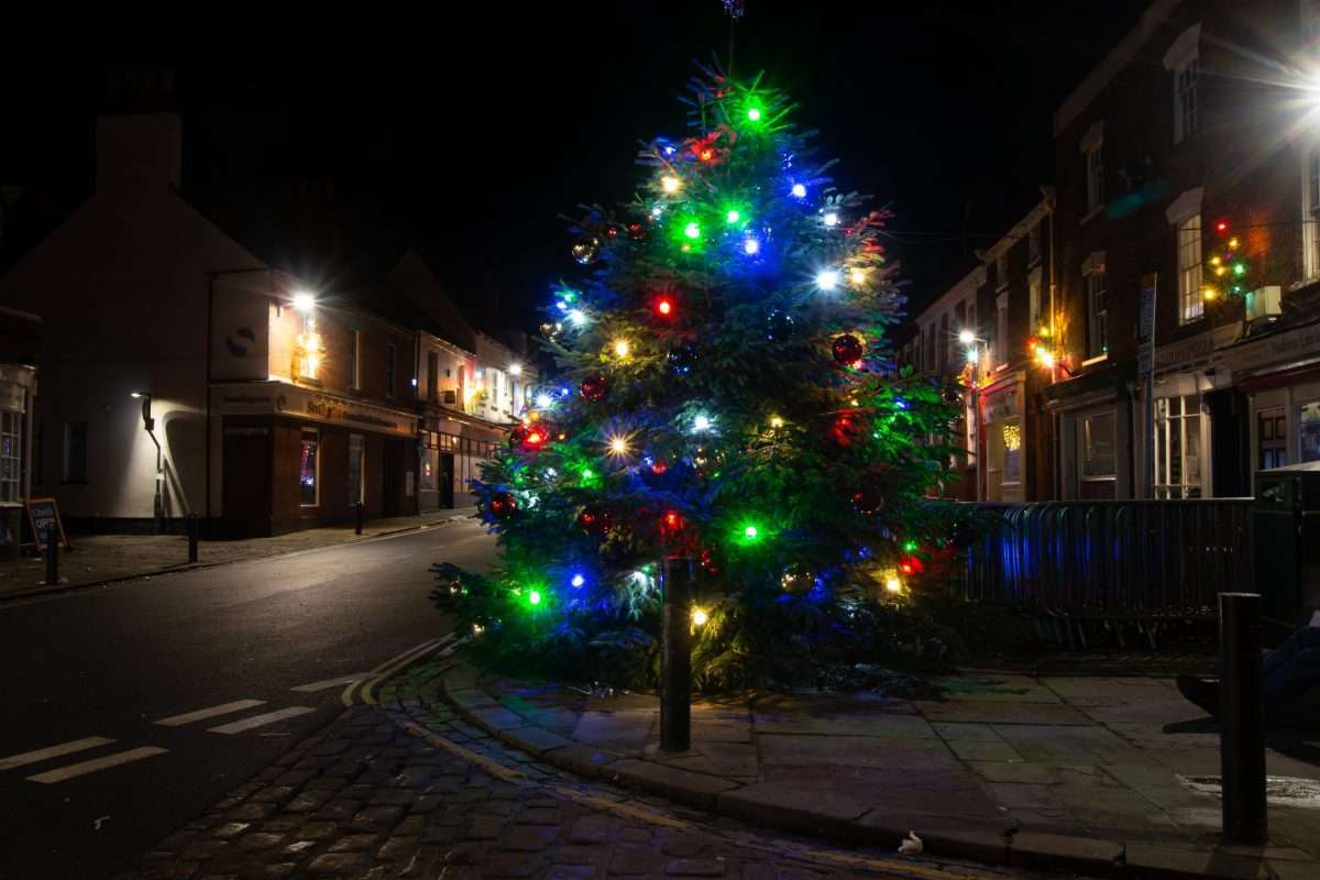 Christmas Tree 2025