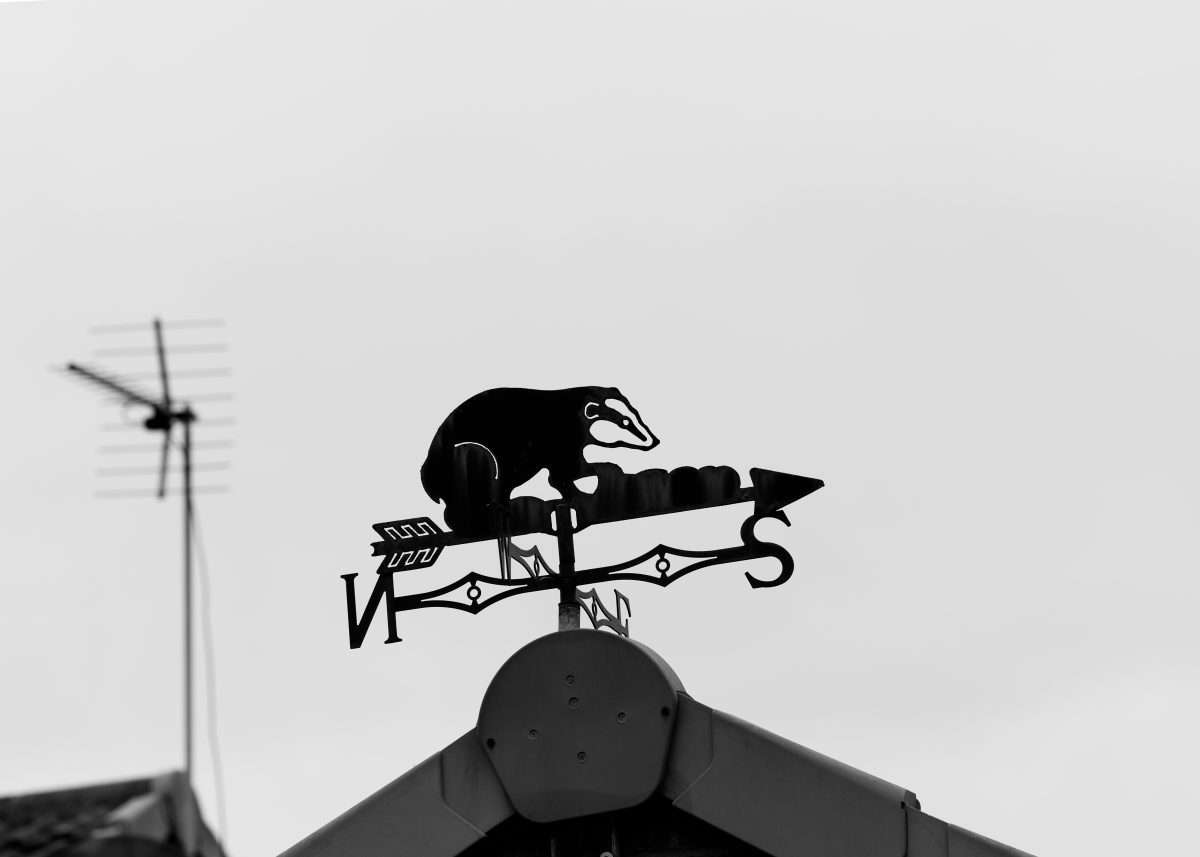 Badger weather vane