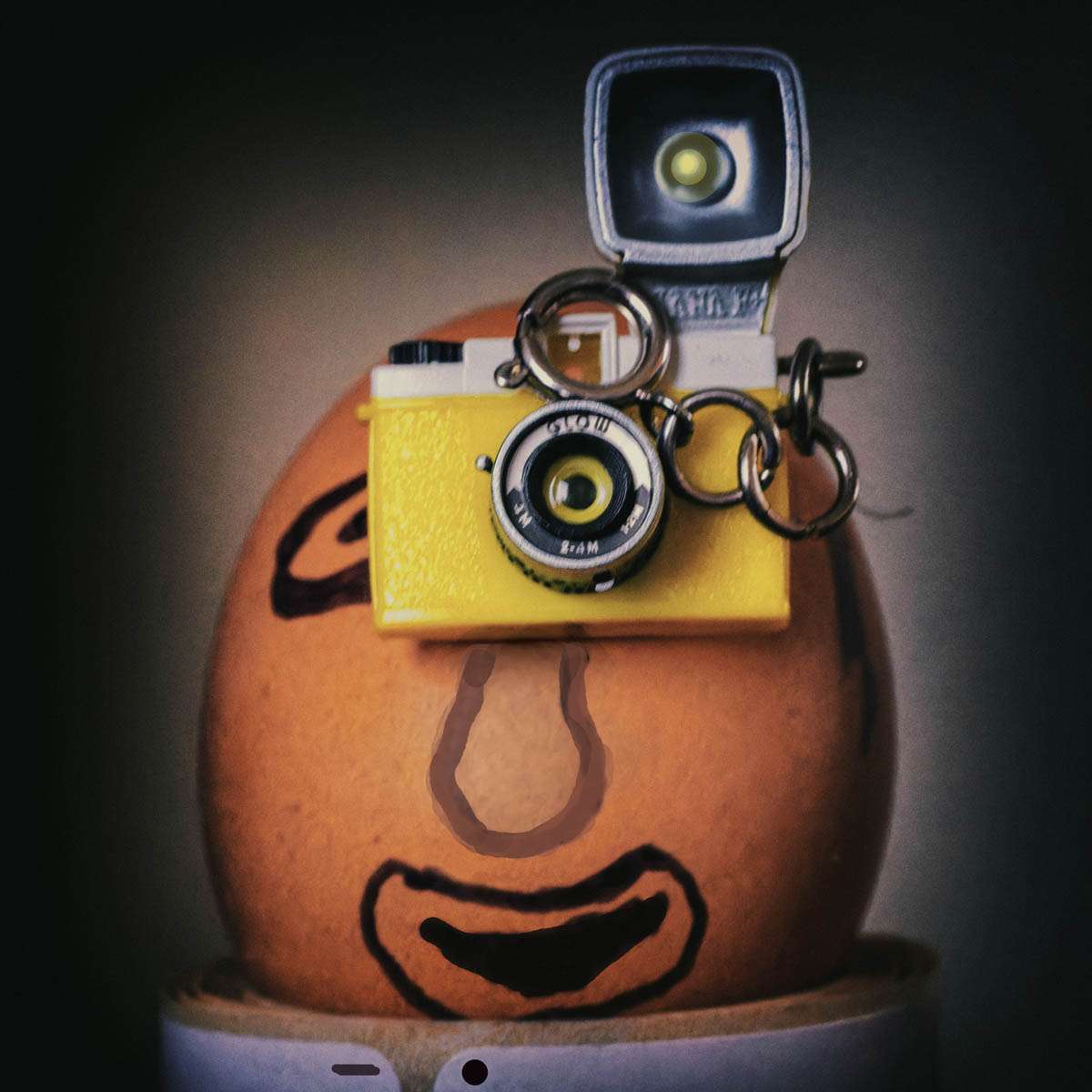 Egg photographer