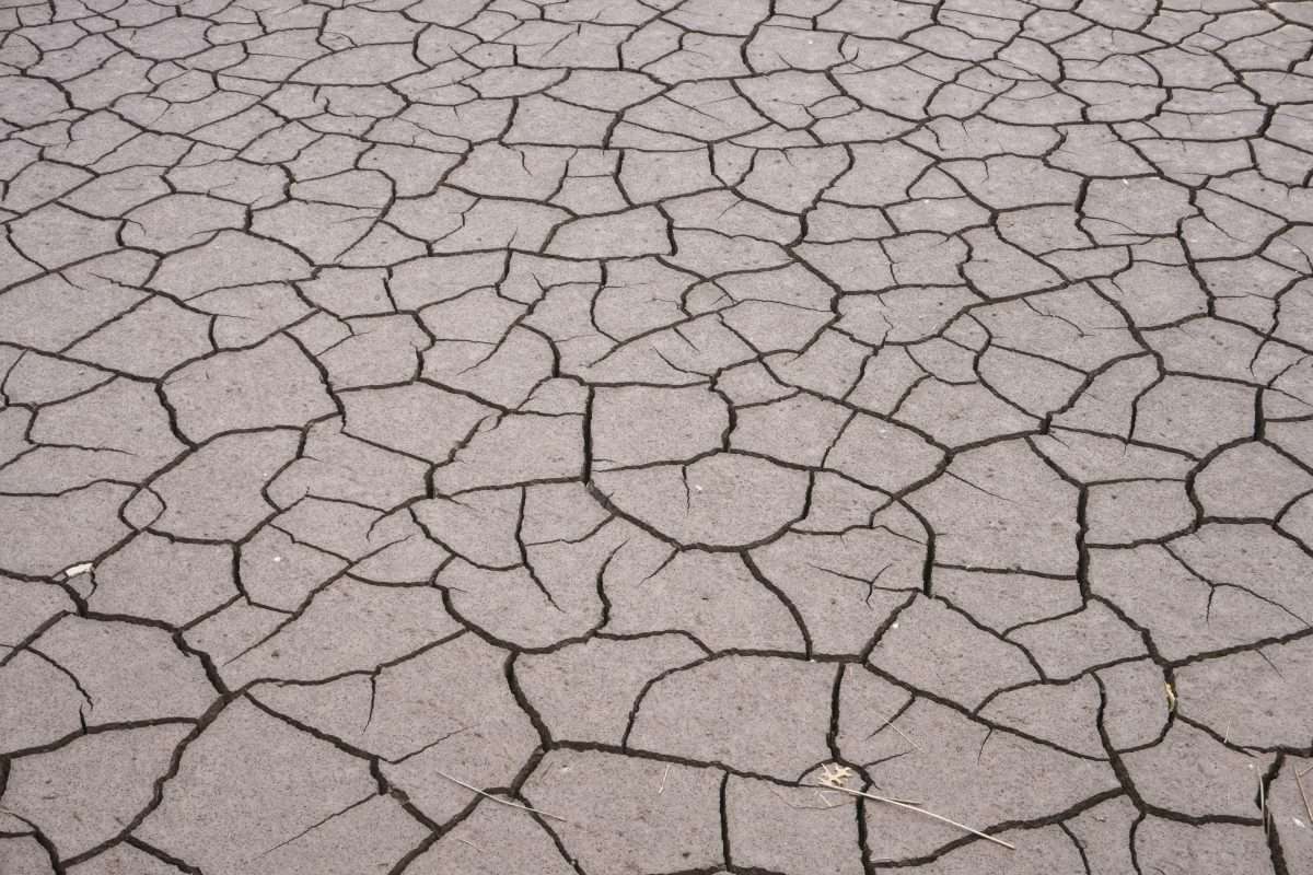 Cracked dry riverbed patterns