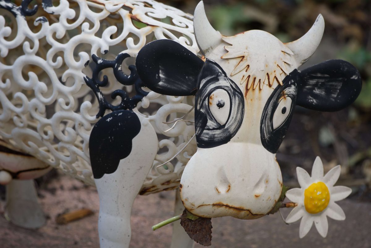 Moo cow garden ornament cu